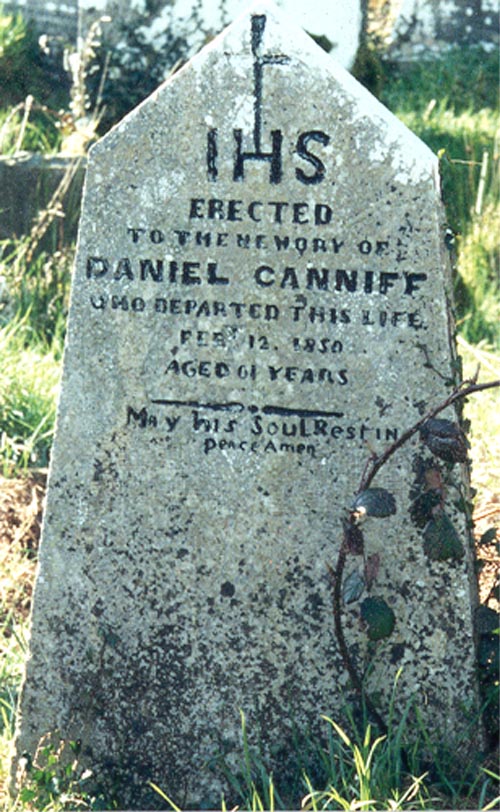 Canniff, Daniel.jpg 119.4K